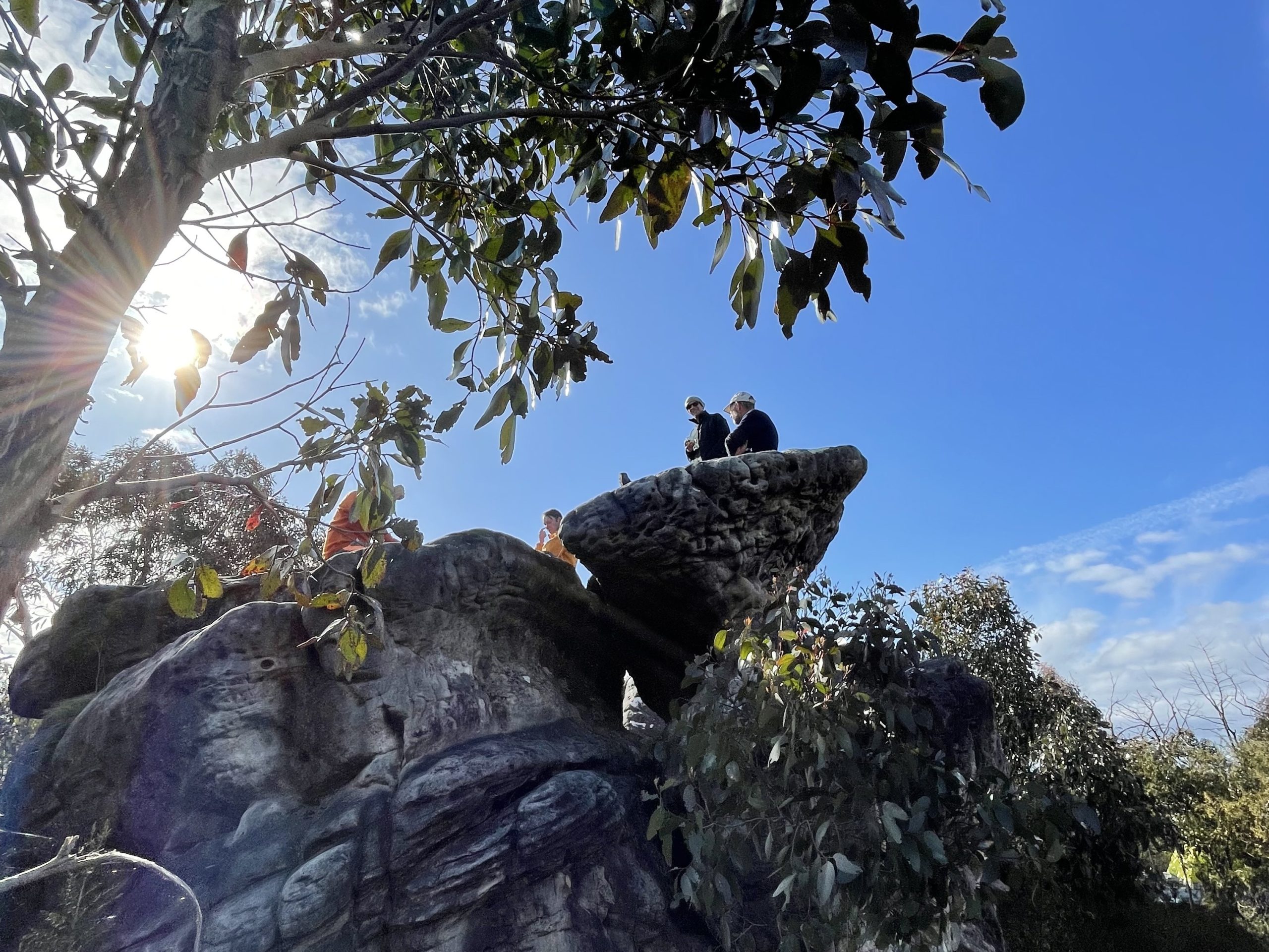 Corporate group walking the Grampians