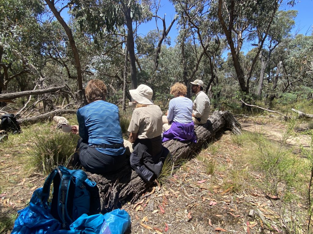 Happy Walkers Taking A Break on the Daylesford-Goldfields Walk