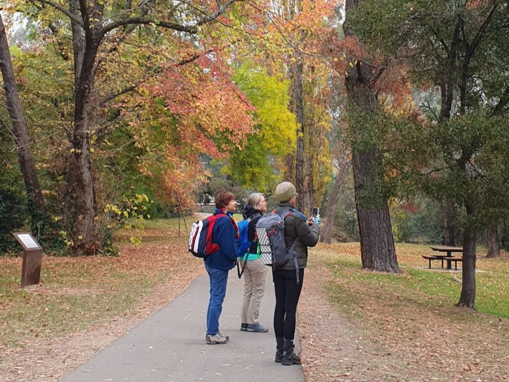 You Can Prepare For Your Holiday by Walking Virtually Anywhere