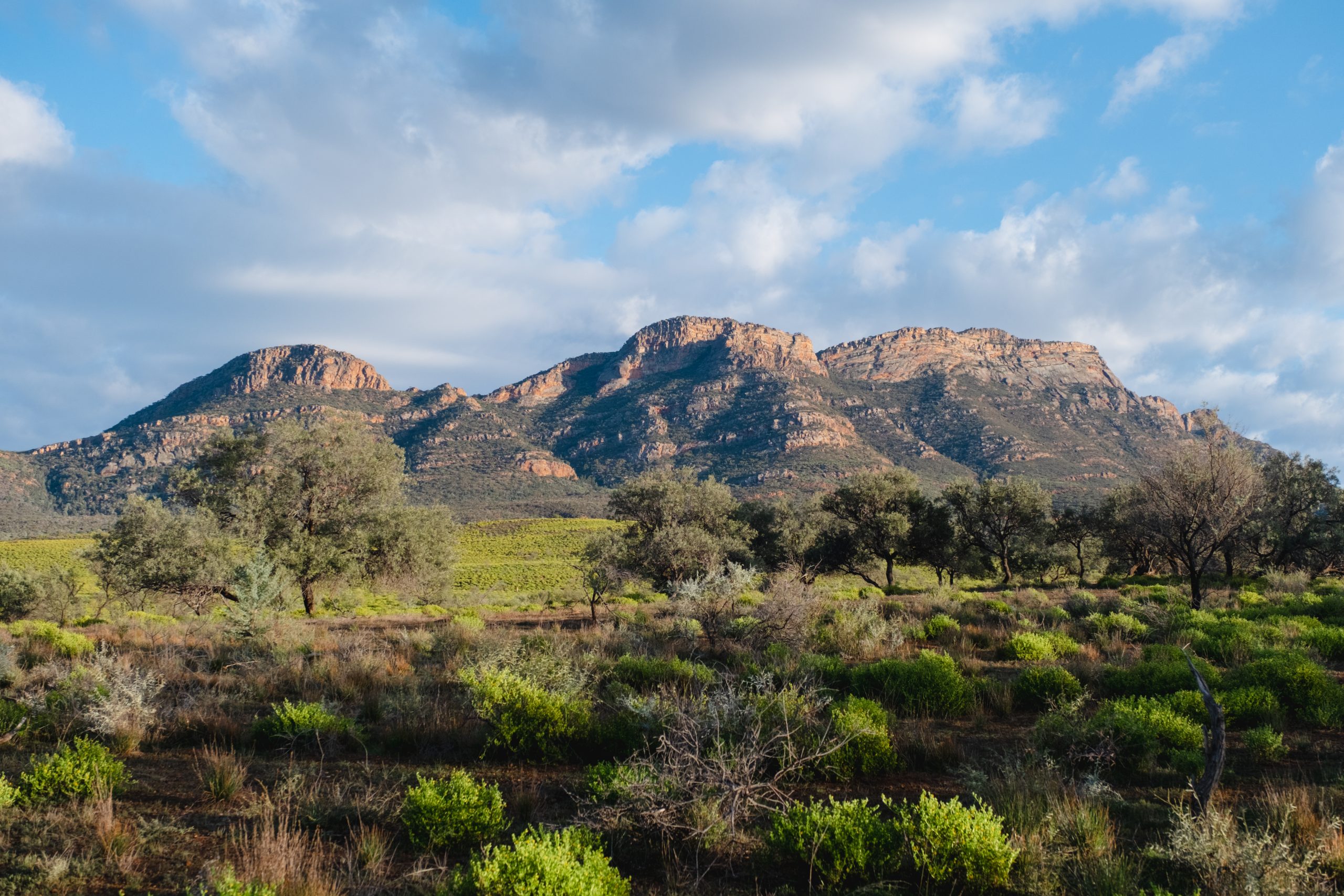 Ikara - Flinders Ranges Walk