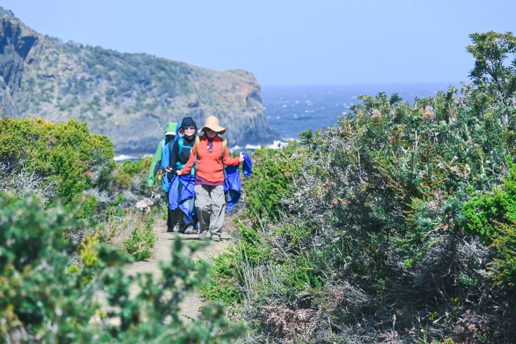 Environmentally passionate doctors walking the Three Capes Track with Park Trek
