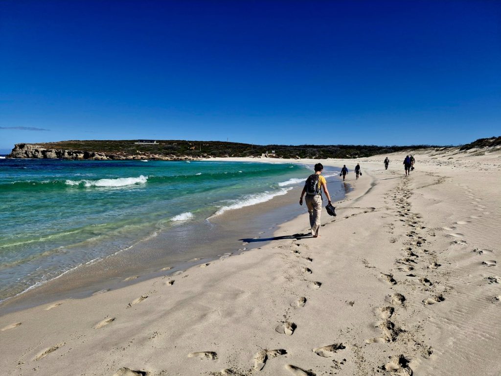 Kangaroo Island Beach Scene | Park Trek Kangaroo Island Beach Scene