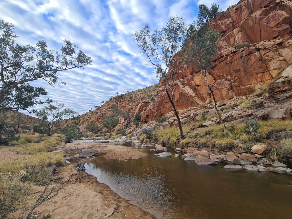 The stunning colours of the Larapinta will leave you speechless | Park Trek Best Guided Walking Holidays in Australia